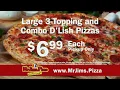 Pizza D Lish TV Commercial