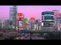 [𝐏𝐥𝐚𝐲𝐥𝐢𝐬𝐭] 댓글 반응 좋았던 제이팝 모음 | 하루종일 듣기 좋은 𝐉-𝐏𝐎𝐏 플레이리스트