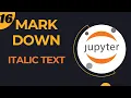 16 - Markdown Italic Text in Jupyter Notebook
