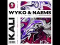 Download Lagu Wyko ft NAEMS - Kali (Extended Mix)