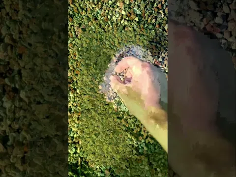 average dream simulation part two