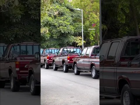 COLEÇÃO DE D20, QUAL VOCÊ ESCOLHERIA?