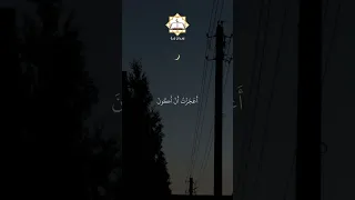 سورة المائدة القارئ سيد سعيد القرآن الكريم 