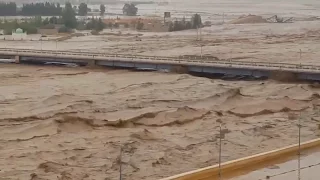 لحظة قدوم سيول وادي مزي بالاغواط من أخطر وأكبر أودية الجزائر دندنها