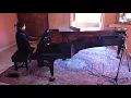 Guns N' Roses - Sweet Child O' Mine | Vkgoeswild piano cover on Bösendorfer Imperial