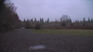 Salem park attacker did the same thing in 2018 and had charges dropped