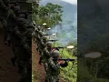 Download Lagu untuk keutuhan bangsa dan negara 💪 #tni #militer #shorts #viral #viralvideo