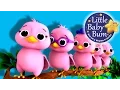 Download Lagu Five Little Birds Counting | Nursery Rhymes for Babies by LittleBabyBum - ABCs and 123s