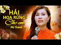 Lagu Nhạc Tình Mùa Chinh Chiến \