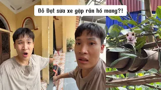 Đỗ Đạt Đang Sửa Xe Gặp Rắn Hổ Mang? | Tổng Hợp Video TikTok Hài Hước Đỗ Đạt