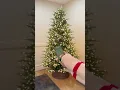 The viral Home Depot tree worth every penny