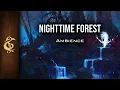Download Lagu 🎧 RPG / D\u0026D Sfeer - Nachtelijk Bos | Dieren, ontspannend, realistisch, uilen, natuur, soundscape