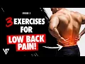 Low Back Pain - Fix Your Body Episode 3 V SHRED