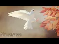 Download Lagu música pra relaxar - sessão de relaxamento