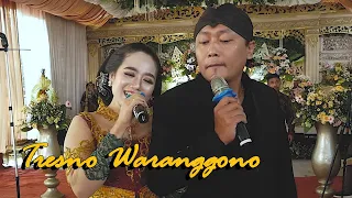 Download Tresno Waranggono - Erin Sabrina ft Itok Rajasrawa - Supra Nada Live Show - Bap Audio MP3