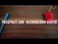 Phosphate buffer and Haemoglobin buffer