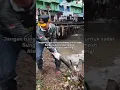 Download Lagu Jagalah kebersihan karena kita membantu menumbuhkan budaya sehat dan peduli lingkungan. #fyp