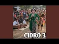 CiDRO 3
