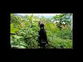 Download Lagu kecil2 tp asik | jebak sogon di alam liar