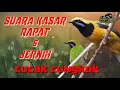 Download Lagu MASTERAN KASAR CUCAK CUNGKOK ngeroll panjang suara kasar speed rapat,