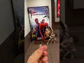 Download Lagu Homem aranha pra sempre parte 2