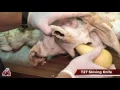MV103 Tanning Part 3 Shaving the Hide and Neutralization