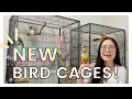 SETTING UP MY BIRDS NEW CAGES Total Cost and Where I Got Everything