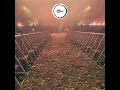 ALL YOUR LOVE (feat. Natalie Peglar)
