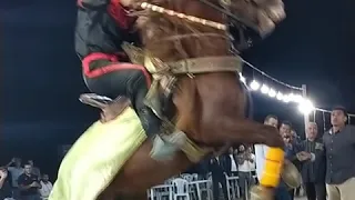 زهو البال بصوت لمين الوسيعي 