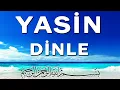 Download Lagu Yasin Suresi Dinle