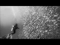 Fort Romeau - Facing the Sea (Original Mix)