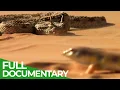 Wild Frontier Deserts of the Middle East Free Documentary Nature