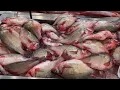 Join me on a Seafood Tour of HMart in Edison New Jersey