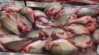 Join me on a Seafood Tour of HMart in Edison New Jersey