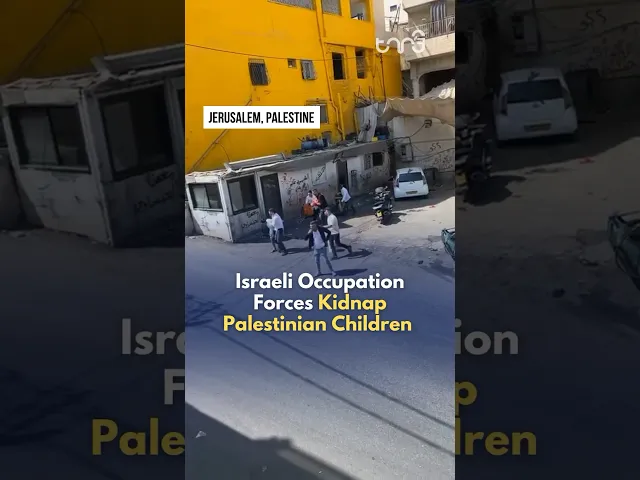 ⁣Israeli occupation forces dressed in Israeli Occupation Forces kidnap Palestinian Children