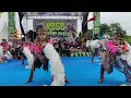 Lagu Jaranan ROGO SAMBOYO PUTRO Seni Kuda Lumping❗️Live Balowerti Kota Kediri