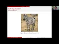 TAMIDS Data Science Webinar Data-driven Modeling of Self-Organization from Observation