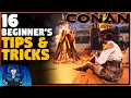 16 BEGINNERS TIPS TRICKS - Isle Of Siptah