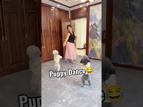 Puppy 🐕 का माइकल जैक्सन वाला Dance 🤣🐕