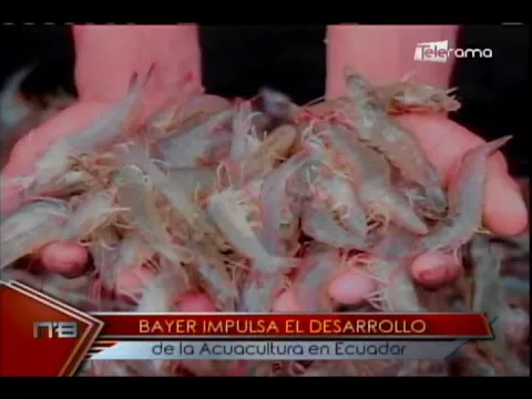 Bayer impulsa el desarrollo de la Acuacultura en Ecuador