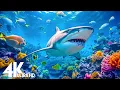 24 HOURS of 4K Underwater Wonders Relaxing Music - The Best 4K Sea Animals for Relaxation