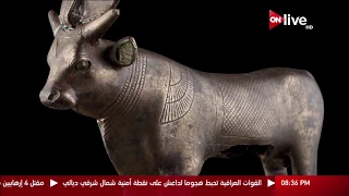 زاهى و الفراعنة الثور أبيس الصورة الحية للإله بتاح 