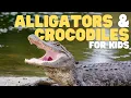 Alligators and Crocodiles for Kids Learn about these powerful predators