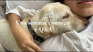 Una semana productiva conmigo + Q&A - Sophie Giraldo vlogs