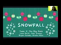 EC311 Final Project Snowfall