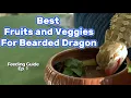 Best Fruits Veggies for Bearded Dragons Feeding Guide Ep 1 Bearded Dragon for beginners
