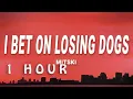 Download Lagu Mitski - I Bet on Losing Dogs (Lyrics) | 1 hour