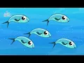 Sinfonia Inconclusa en la Mar | Canciones Infantiles | Toy Cantando