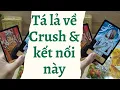 Lagu Tá lả về crush và kết nối này | Cơ hội crush và bạn - Khu vườn nhỏ của Andy