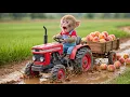 Download Lagu 🍑💦 Monkey Nana drives tractor with peaches through flood and fixes the road! 🌧️🛠️ – NANA MONKEY LIFE